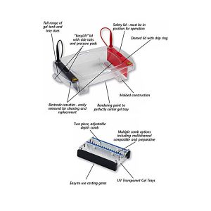 Horizontal Electrophoresis Systems 