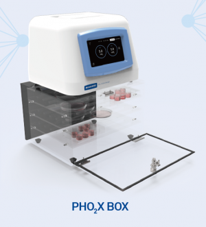 PhO2xBox 쳄버