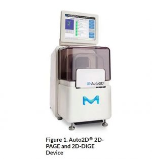 Auto2D® Electrophoresis Device